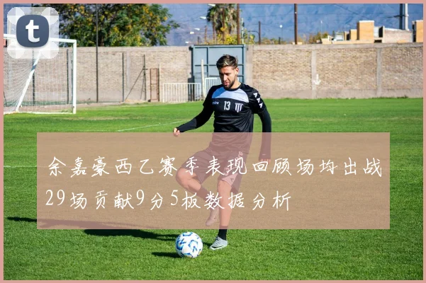 余嘉豪西乙赛季表现回顾场均出战29场贡献9分5板数据分析