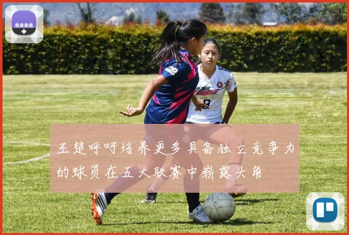王楚呼吁培养更多具备独立竞争力的球员在五大联赛中崭露头角